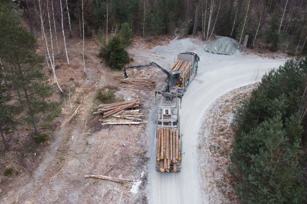 Skogsbruk