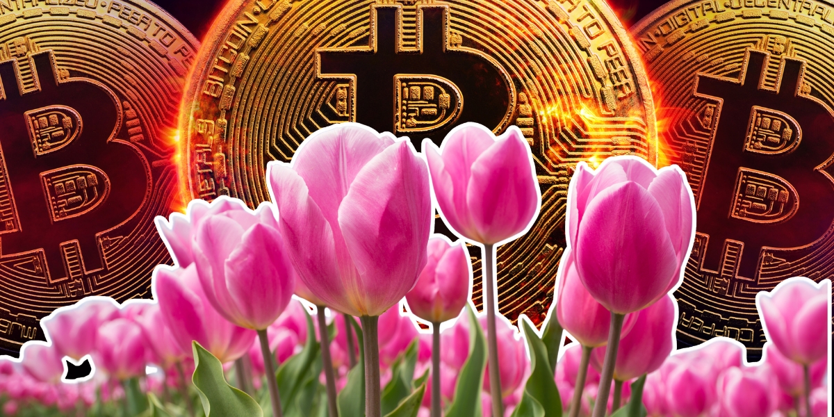 ”Inte värt mer än en blomma” – trots bitcoins rekordrusning
