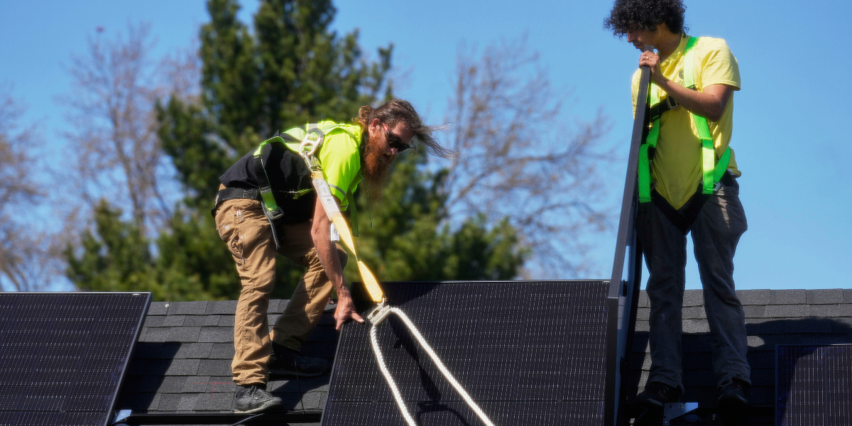 Svenskar väljer ljusgröna fonder – dominerar helt