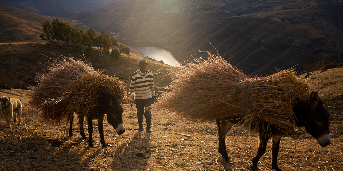 USA driver Afrika i händerna på Kina