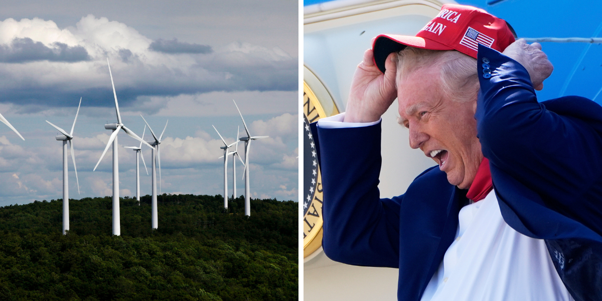 Trump slaktar förnyelsebar energi – hotar AI