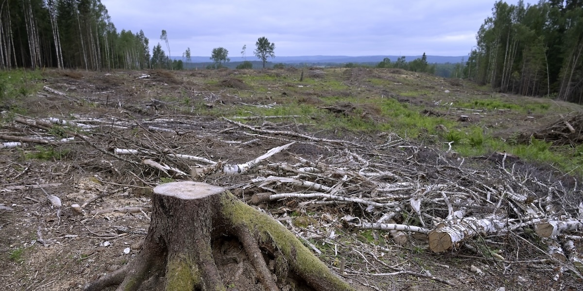 Ej godkänt: Sverige missar klimatmålen i nya budgeten
