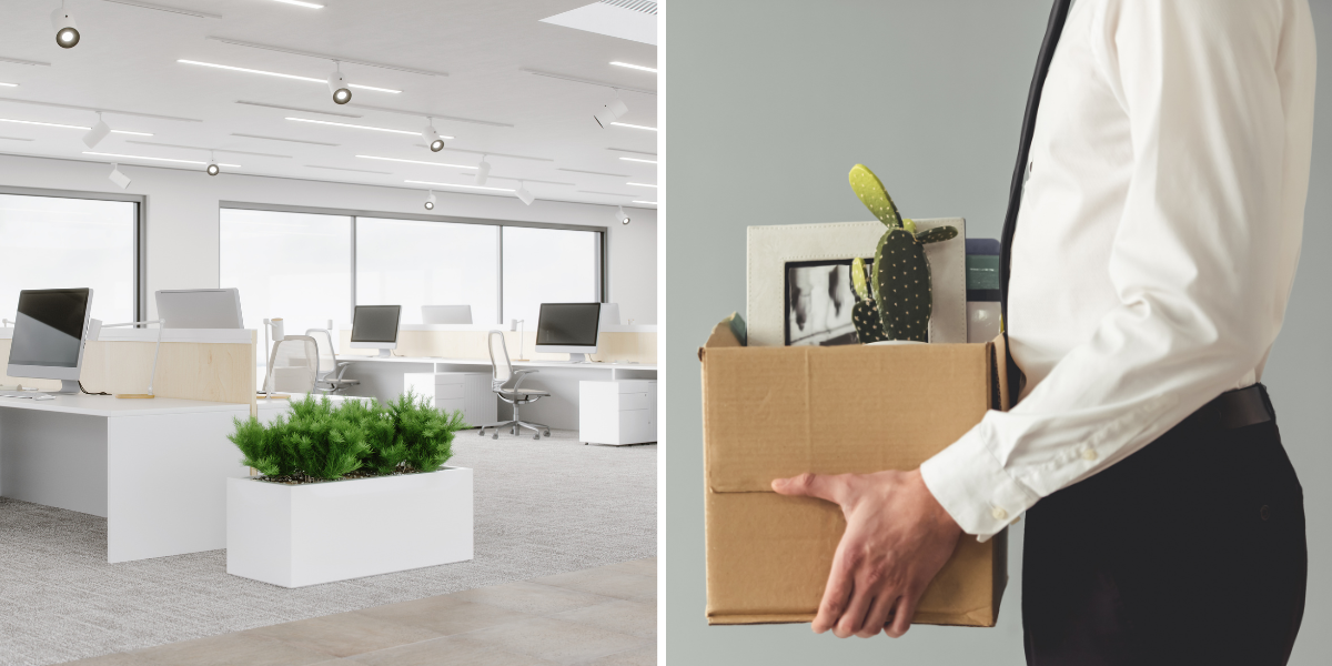 Kaoset på myndigheten efter kodfel