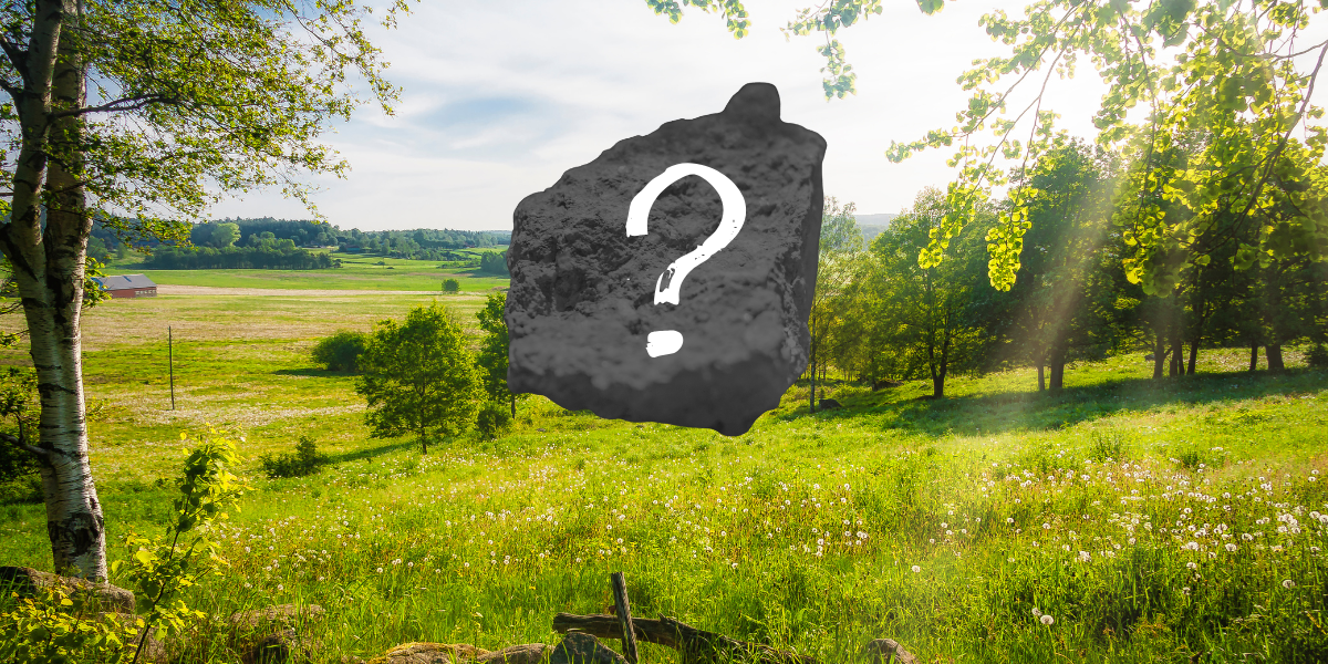 Efterfrågan på metallen dubblas: Finns i Sverige men bryts inte