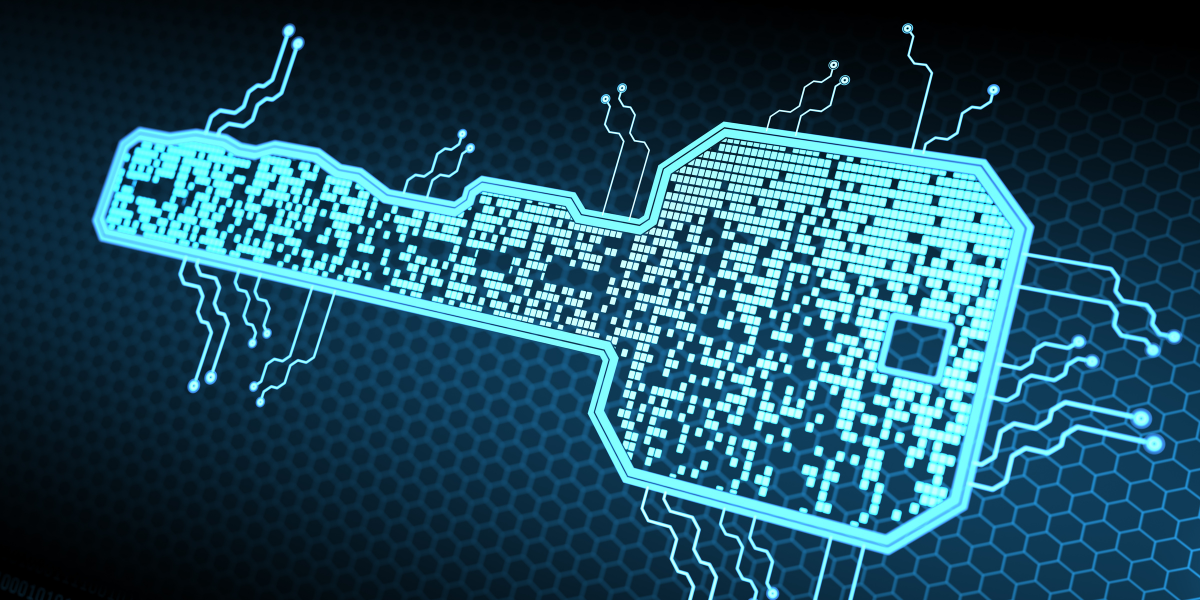 När en borttappad nyckel stänger hela demokratin