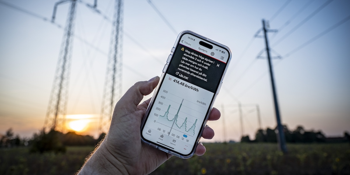 Var femte småföretagare hotas – av elräkningen