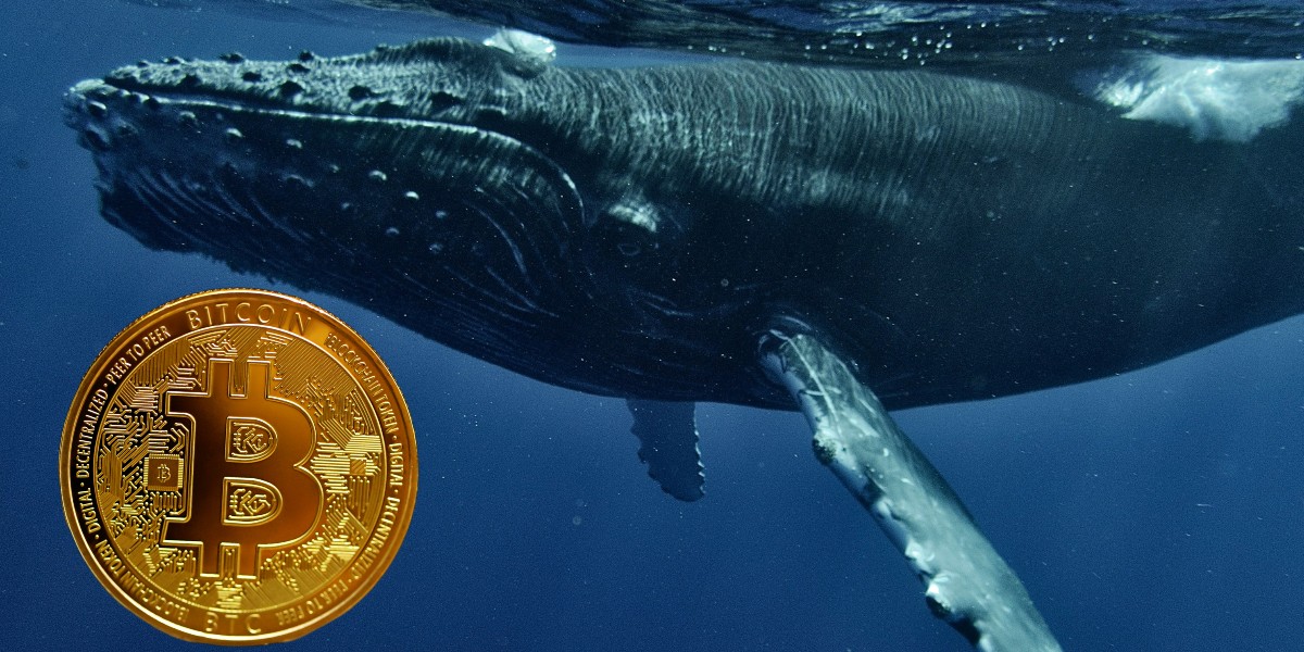 ”Valarna” välter kryptomarknaden över ända