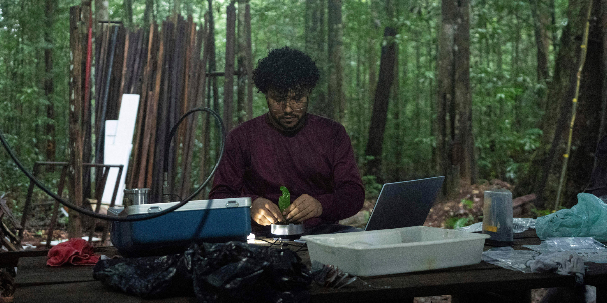 Storfavorit i klimatforskningen föll – fel data ändrade allt