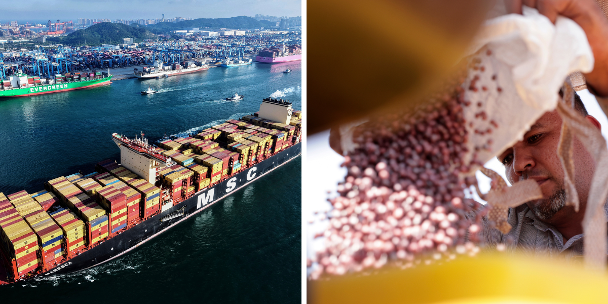 Sojabåtarna på väg – men köpkrisen kvarstår